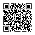 QR Флюгге диоксид кремния 120 таблеток