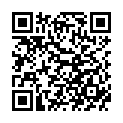 QR Wilkinson Quattro Titanium Rasierapparat