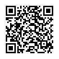 QR IDEAL MAXI BW COL O3 ZINOBER