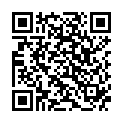 QR IDEAL MAXI BW COL 08 ROTBRAUN