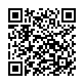 QR IDEAL MAXI BW COL 10 SCHOKO