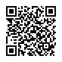 QR Инсулин Левемир 5 готовых картриджей 3 мл