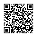 QR Henna Plus Mens Own Syst2 Hell-Braun