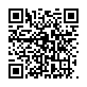 QR Henna Plus Mens Own Syst2 Dunkel-Braun