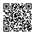 QR IVF Hausapo Metallschrank Gefullt