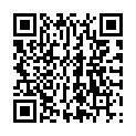 QR Emoform Interdentalbursten 2.5мм Dunkelblau 5 штук