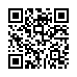 QR Лидазон Малина 24 пастилки