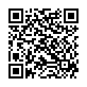 QR Lysoform Desinfektion Konzentrat 500мл