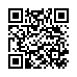 QR GOJI BERRIES SAFT 100% BIO