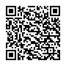 QR Top Caredent InterDentalBurste mit Griff IDBG-B 5мм 5 штук