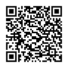 QR Caredent InterDentalBurste mit Griff IDBG-G 3мм 5 штук