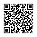 QR Ringer Bichsel 500 ml