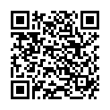 QR APLESS APFELESSIG