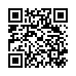 QR Ob Tampons Normal 16 штук