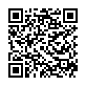 QR Paro Micro Sticks Zahnholz Superfein 96 штук 1751
