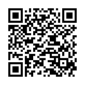 QR Herba Flachburste Denman Softtouch Schwarz