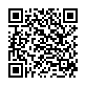 QR Bacillol 30 Foam Spruhflasche 750мл
