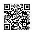 QR Бургерштейн Цинк-C 115 г 25 ирисок