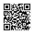 QR Буарон Силицеа шарики 200 K 1 доза