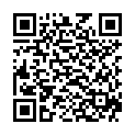 QR Birkenblut Brillantine жидкость farblos 250мл