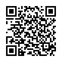 QR Шёненбергер Сок артишока 200 мл