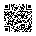 QR Scholl Druckschutz Schaum 9 пластырей