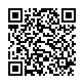 QR SIDROGA TEE FENCHEL ANIS K