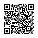 QR PHA AntiStress fur Katzen капли бутылка 30мл