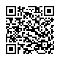 QR Schindele's Mineralien порошок доза 400г