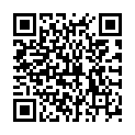 QR Реккевег Р26 Ремизин капли 50 мл