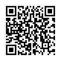 QR Pioneer Teebaumoel Essenz 20мл