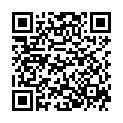 QR Визмед глазные капли монодоз 20 x 0.3 мл