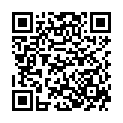 QR Визмед глазные капли монодоз 60 x 0.3 мл