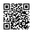QR Chrisofix Mehrzweckschiene 90см