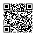 QR Anwander Allround Lukas Tropfflasche 100мл 10 штук
