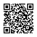 QR Бургерштейн L-Лизин 100 таблеток