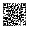 QR Elmex Zahnholzer 3x 38 штук