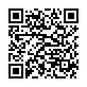 QR Paro 3Star-Grip 4.5мм Medium Grun Zylin 4 штуки