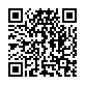 QR Одноразовый катетер SpeediCath Flex CH12 33см мужской 30 шт.