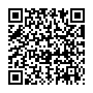 QR Biofluoro fluorescein Ophthalmic Strips 300 pcs
