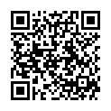 QR WellStone массажный ролик сердолик