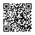 QR Peptamen Hn нейтральная двойная бутылка 500 мл