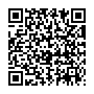 QR Dixa Eistee Bio Ingwer 150g