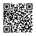 QR Абакавир Ламивудин Мефа Лактаб 600мг/300мг 30 шт.