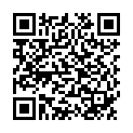 QR FOLIODRAPE Lochtuch 150x170 selbstklebend