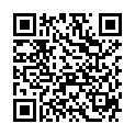QR ЭНЕРЗАЙР БРИЖАЛЕР Инга 150/50/160мкг