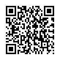 QR Декоративный набор Sterillium Protect&amp;Care 4 шт.