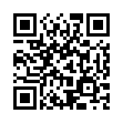 QR ДИКСА зимний чай