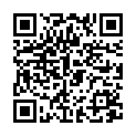 QR INCIDIN Alcohol Wipe