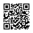 QR Floradix Железо + Витамин ФЛ 250 мл
